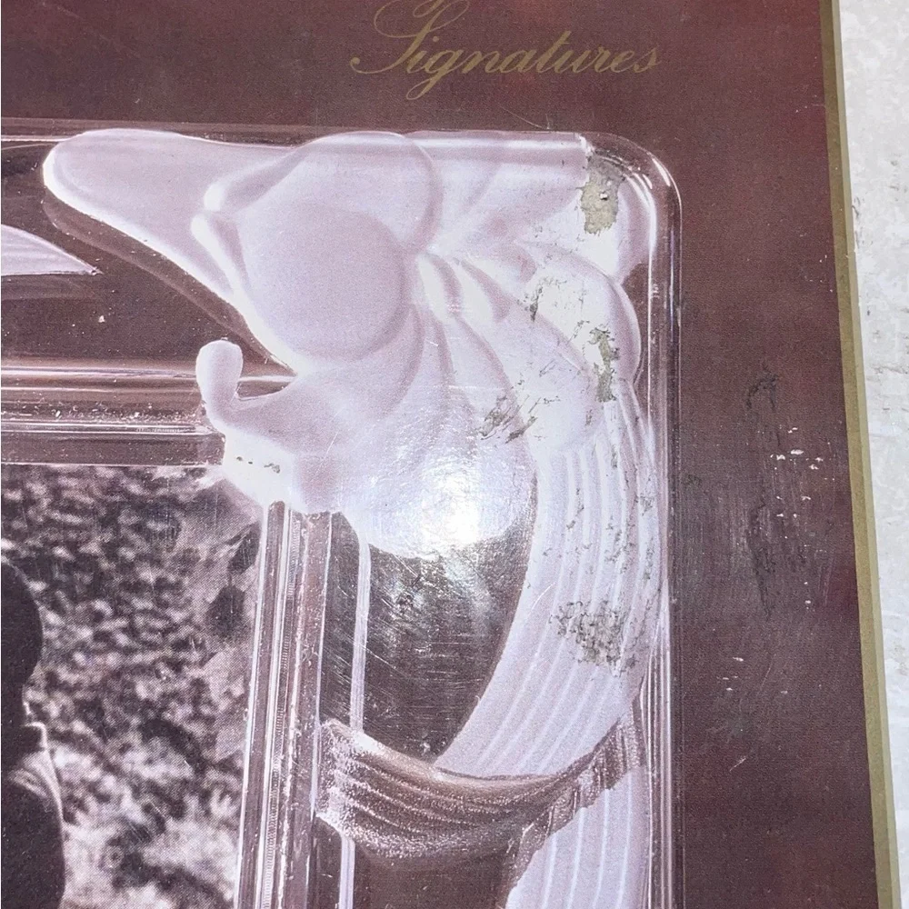 NWT ABSOLUTELY GORGEOUS FROSTED CRYSTAL CLEAR SIGNATURES RECTANGLE PICTURE FRAME